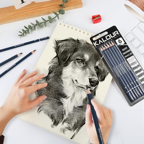 KALOUR PDAS Professional Drawing Pencils for Sketching – 6 pcs Matte Graphite Pencil Set (HB–12B), Sketch Pencil Set for Drawing, Shading & Artists