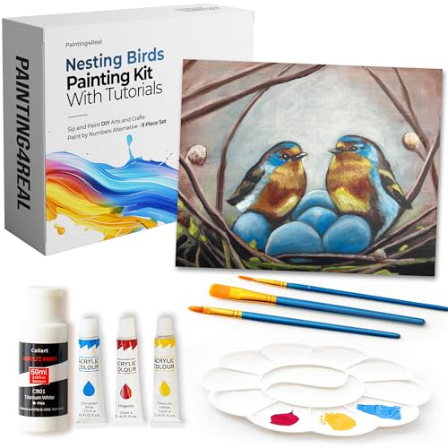 DIY Painting Class Kits for Adults with Video Tutorials, Learn to Paint Nesting Birds, How to Paint with Acrylic Paint Sets for Adult, 9 Peices Art Set & Painting Supplies Gifts for Mom - color: Nesting Birds