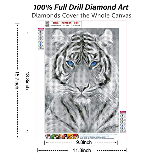 RICUVED Diamond Art Kits for Adults, White Tiger Diamond Art Full 5D Diamond Art Kits Tiger Rhinestone Picture Art Craft for Home Wall Decor 11.8x15.7 Inch - color: Tiger
