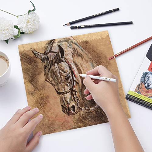 MARKART 10 Pack Professional Charcoal Pencils for Drawing | Black & White Charcoal Pencils for Sketching, Shading, Blending, Portrait, Pastel Chalk Pencils for Beginners & Artists