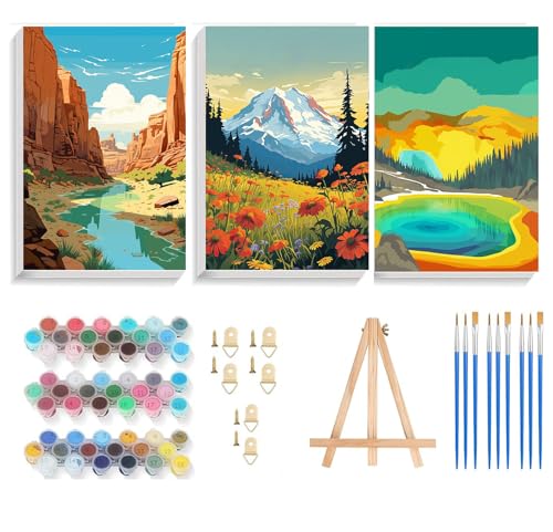HOIYLDS 3 Pack Paint by Number for Adults Framed Canvas, National Park DIY Arts and Crafts for Adults Beginner with Wooden Easel, Paint Brushes, Acrylic Paint Set for Home Wall Decor, 9 * 12 Inch - color: LD009