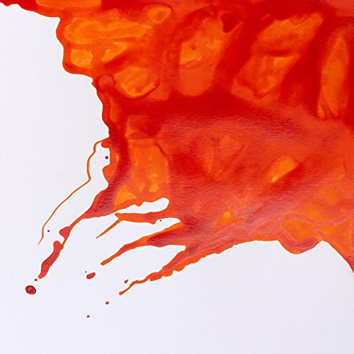 Winsor & Newton Drawing Ink, 14ml Bottle, Orange | Fast-drying, transparent & water-resistant; Outstanding Color Brilliance; Perfect for brush, dip pen, airbrush applications. - color: Orange, style: 14ml Bottle