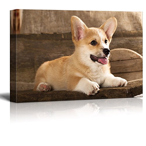wall26 Canvas Prints Wall Art - Cardigan Welsh Corgi Puppy - Giclee Print Gallery Wrap Modern Home Art Ready to Hang - 12" x 18" - color: Cardigan, size: 18"L x 12"W