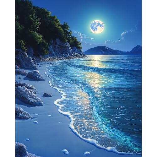Beach Moonlight Paint by Numbers Kit for Adults Beginner Ocean Oil Painting Kit Adult Paint by Number Kits on Canvas Moon DIY Painting for Beginners Art by Numbers for Gifts Home Wall Decor 16x20 Inch - color: YF019