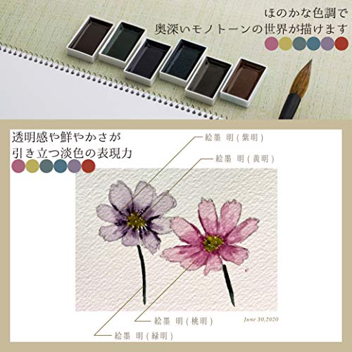 Sumikundo 15459 Solid Ink Ink Ink Set, 6 Colors