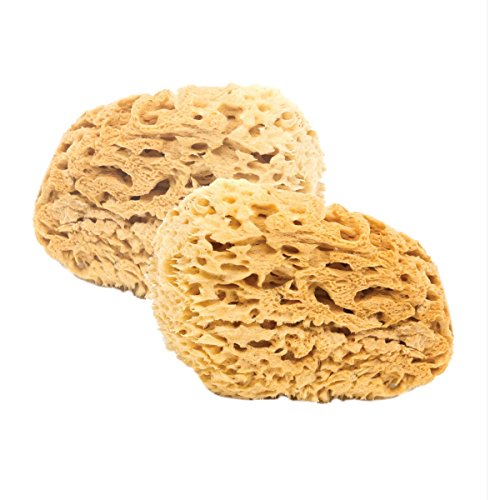 BabyCare Sea Sponge - 2 Pack - Natural Honeycomb Sponge - Minimalist, Plastic Free Packaging