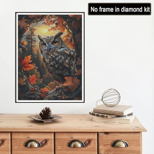 Reofrey DIY Diamond Art Kits for Adults Owl, Animal Full Drill Round Rhinestone Diamond Painting Kits for Adults, Cross Stitch Embroidery Canvas for Crafts Home Wall Decor 12x16 inch/ 30x40cm - color: Owl