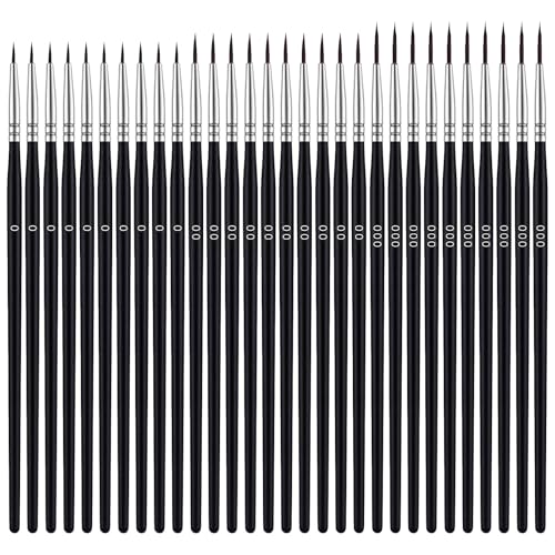 30 PCS Micro Paint Brushes, #0#00#000 Micro Paint Brush Fine Tips Detail Liner Brush, Precision Miniature Painting Brushes for Miniature Models Watercolor Acrylics Oil Crafts - color: Black