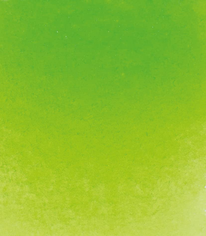 Schmincke - HORADAM® AQUARELL - Finest Artists' Watercolor Paints, 524 May Green, 14 524 044, 1/2 pan - color: 524 May Green