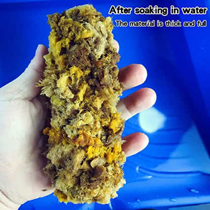 6" Natural Sea Sponge Roller for Wall Texturing & Texture Painting | Knockdown texture tool, produces organic wall textures, perfect for pearlescent art paint & glitter stone application