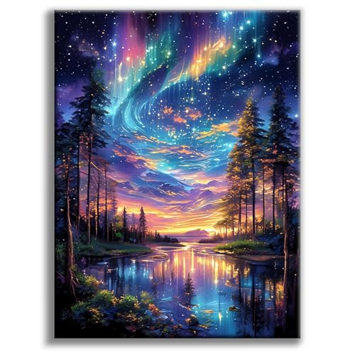 Diamond Art Kits for Adults, Starry Sky DIY Diamond Painting for Beginners | 12x16 Inch, Full Drill Round Dots, Aurora Landscapes 5D Gem Art Craft Kits, Home Decor, Stress Relief Relaxing Hobby Gift - color: BLKJDP01