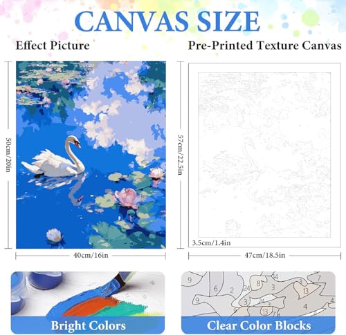 ZRIZQ Paint by Numbers Kit for Adults Beginner Animal,Swan,16x20 | Full set with wooden brushes,rolled canvas,rich paints.Calming activity.Beginner friendly.Just open and paint. - color: 16"X20"Rolled Canvas(Frameless)-Swan and Lake