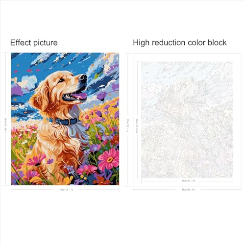QUITEDEW Dog Paint by Numbers Kit for Adults,Painting by Number,DIY Colorful Art Painting for Home Wall Decor 16x20 Iinch(Animal) - color: B7-dog