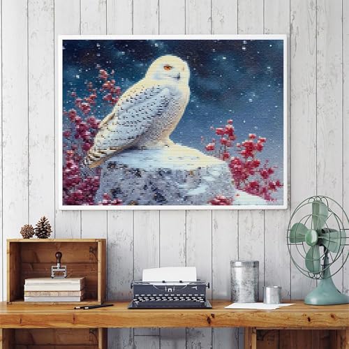 MIJVFNB Cross Stitch Embroidery Kit, Snowy Owl, Cross Kits for Adults, Easy Counted Cross Kits for Beginners, 12x16inch