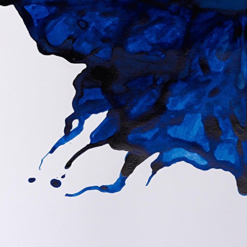Winsor & Newton Drawing Ink, 14ml Bottle, Ultramarine | Fast-drying, transparent & water-resistant; Outstanding Color Brilliance; Perfect for brush, dip pen, airbrush applications. - color: Ultramarine, style: 14ml Bottle