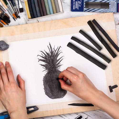 Willow Charcoal Sticks, Jumbo Willow Charcoal Pencils for Artists, Beginners, Students, Natural Charcoal Stick for Sketching, Drawing, and Shading (9-12MM | 6 Sticks) - style: 9-12MM | 6 Sticks