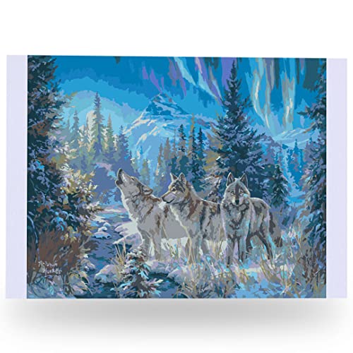 Ledgebay Paint by Numbers Kit for Adults, 16x20 Unframed Canvas - color: Moonrise Song, size: 16" x 20" Unframed
