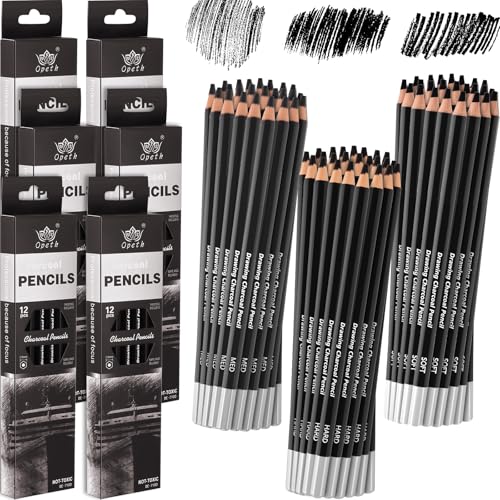 Geyoga 72 Pcs Professional Charcoal Pencils Bulk Soft Medium Hard for Drawing Charcoal Pencils for Art Painting Sketching Shading Drawing Blending Portrait Artists Students Christmas Stocking Gifts