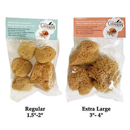 Natural Sea Sponges Hermit Crabs 5 Pack Unbleached, Drinking Aquarium Decor