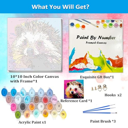 Artunion Framed Paint by Numbers Kit for Adults Beginners & Kids Ages 8-12,Colorful Hedgehog Paint by Number with Frame,Animal Easy Paint by Numbers Kit on Canvas 10 * 10 Inch Without Easel - color: ZXT-384-F