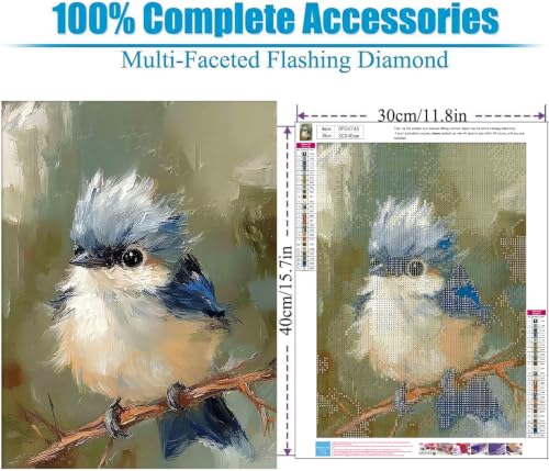 WUDWL Blue Bird Diamond Art Kits for Adult Diamond Painting Kits for Adults - color: DP04745