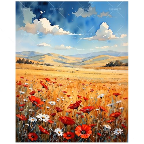Hillside Poppies Paint by Numbers Kit for Adults - DIY Poppy Field Landscape Painting on Canvas 16x20 Inches, Acrylic Paint Set, Suitable for Beginners, Ideal for Home Decoration or Gifts - color: TCXY06074, size: 16X20IN Folded
