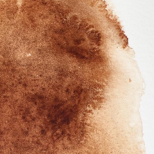 Winsor & Newton Professional Watercolor, 5ml Tube, Burnt Umber - color: Burnt Umber, style: 0.17-oz Tube