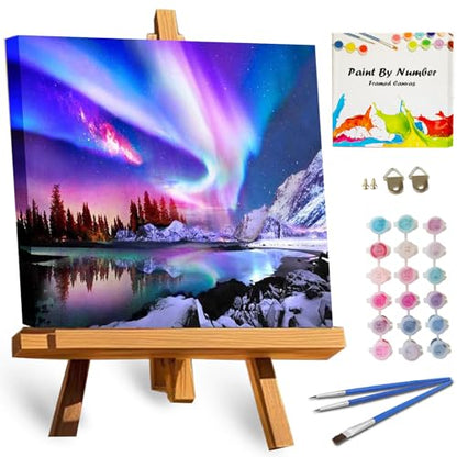 TOCARE Framed Paint by Numbers Kit for Adults Beginners & Kids Ages 8-12, Aurora Paint by Number with Frame,Northern Lights Paint by Numbers Framed Canvas(10x10 Inch, Without Easel) - color: TC-F-213