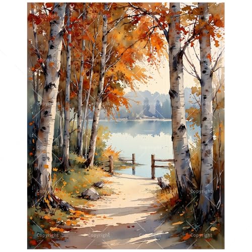 Lakeside Fall Foliage Paint by Numbers Kit for Adults - DIY Birch Trees and Lakeside Trail Painting on Canvas, Acrylic Paint Set for Beginners, Art for Home Decoration or Gifts(12X16IN Framed) - color: TCXY06100, size: 12X16IN Framed