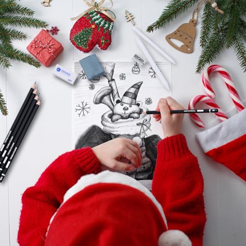 PANDAFLY Drawing Sketching Pencil Set, 22 Piece, Graphite Pencils (12B-2H)
