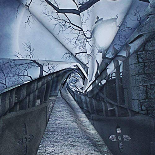 8X8FT Halloween Theme Pictorial Cloth Seamless Customized Photography Backdrop Background Studio Prop TP17B - size: 8X8FT