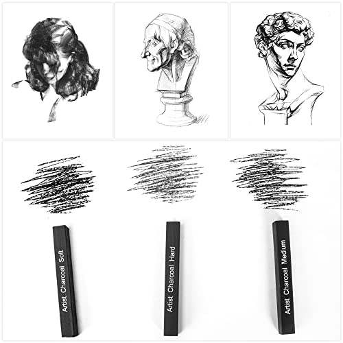 12 Pack Compressed Charcoal Sticks, Vine Charcoal Stick for Drawing, Sketching, Shading, Art Supplies Sketch Kits Tools Soft, Medium and Hard Grade - color: Black-12