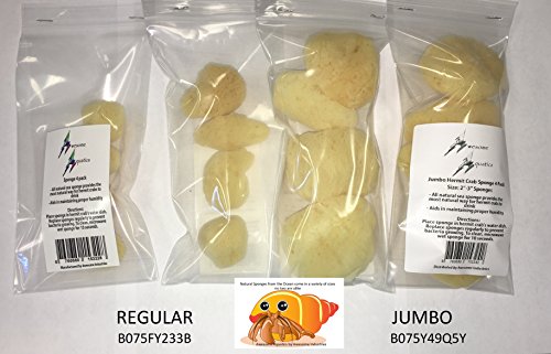 4 Natural Hermit Crab Sea Sponges, Water Dish, Humidity & Habitat | Natural hydration • Maintains humidity • Reusable • Climbing surface • Water Safety • Nutrients • Natural habitat - size: Regular 4 pk
