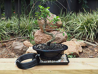 Anodized Aluminum 1.5mm Bonsai Training Wire 250g Large Roll (170 feet) - Choose Your Size and Color (1.5mm, Black) - color: Black, size: 1.5mm
