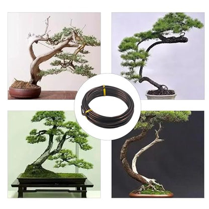 Bonsai Training Wire Kit 3 Sizes, 2.5mm/3.0mm/4.0mm Anodized Aluminum Bonsai Wire, Antique Bronze Aluminum Wire Set for Bonsai Trees Shaping and Training(100g Each Size) - size: 2.5mm/3.0mm/4.0mm