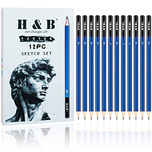 H & B 12 PCS Pencil Drawing Kit, H-4H, F, HB, B-6B Graphite and Charcoal Sketch Pencil Set for Beginners, Professional Artists - size: 12 Count (Pack of 1)