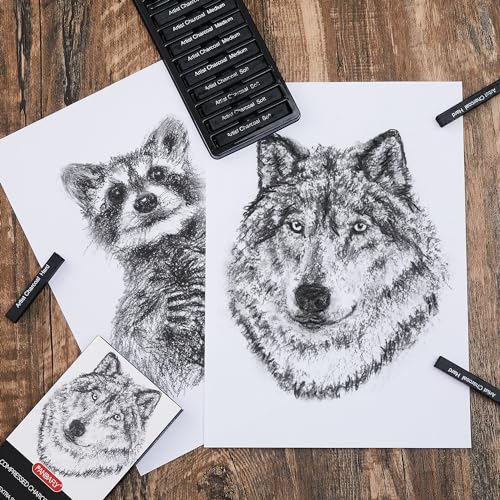 PANDAFLY Compressed Charcoal Sticks, 12 Pack, Soft Medium & Hard | Black Square Vine Charcoal Sticks for Drawing, Sketching, Shading, Charcoal Drawing Set for Beginners & Pro Artists