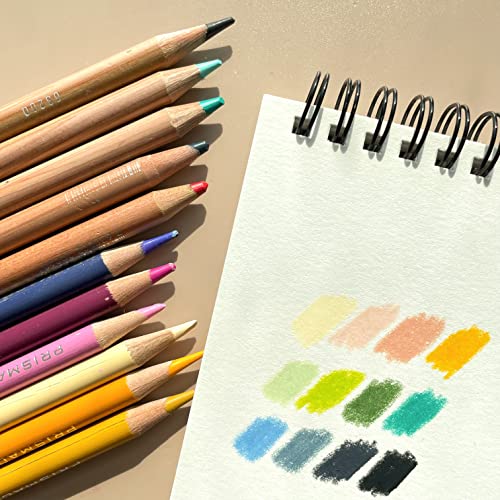 2 Pack of Papelsino, Bristol Paper Sketchbook for Dry Media Oil Pastel, Colored Pencil, Pencil Drawing Vellum Surface (A4 Spring 2Pack, 11.7 x 8.27)