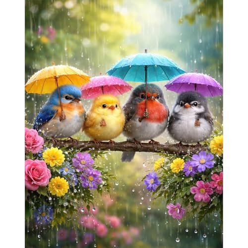 PHANTASYART Cute Birds Paint by Numbers Kit for Adults 16x20inch - color: Cute Birds, size: 16x20inch