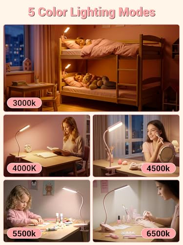 Pink Desk Lamp for Dorm Lamp, 9 Brightness+5 Color Clip on Light, Cute Lamp - color: Pink