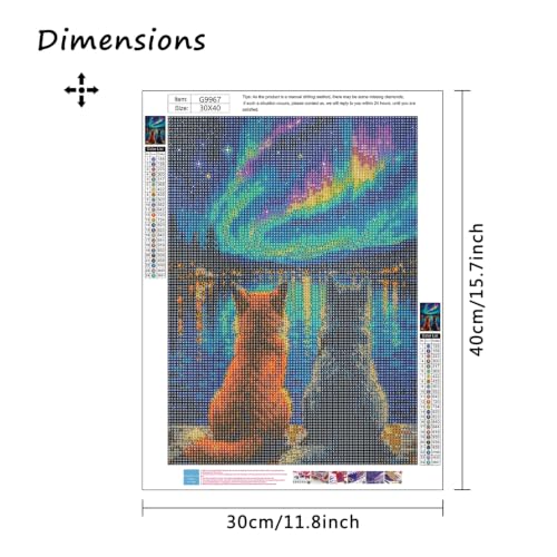 MBNTJHT Cat Diamond Painting Kits for Adult Beginners,Aurora Scenery Diamond Art Kits for Adults,DIY 5D Full Drill Starry Night Gem Art and Crafts for Home Decor Gifts 12X16 Inch. - color: G9967