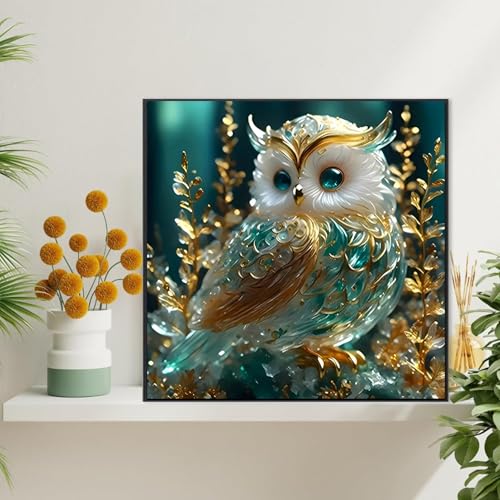 KINPLUB Owl Diamond Painting Kits for Adults, Bird 5D Diamond Art Kits for Adults Beginners, DIY Full Drill Gem Art Paint by Diamonds Dots for Adults, Home Wall Decor 12x12 Inch - color: Owl