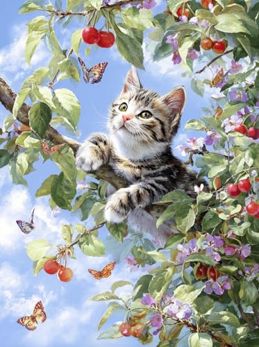 Milila Diamond Art Kits for Adults Full Drill Diamond Painting Kit(Kitten) - color: Kitten