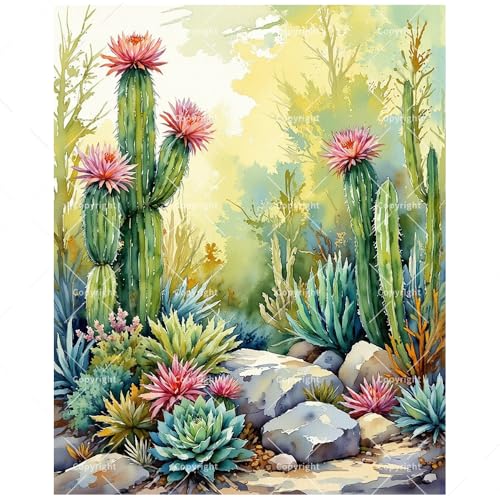 Cactus Garden Paint by Numbers Kit for Adults - DIY Succulent Plants and Desert Flowers Painting on Canvas, Acrylic Paint Set, Suitable for Beginners, Art for Home Decoration or Gifts(8X12IN Framed) - color: HSX01264, size: 8X12IN Framed