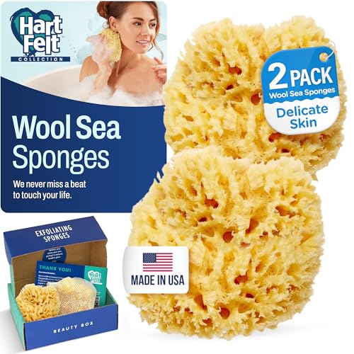 HartFelt Wool Sea Sponge Beauty Box for Delicate Skin | 2 Bath Sponges for Shower Women & Men 4 in | Natural Sponge with Mesh Bag for Cleaning & Drying | Chemical-Free Body Sponge Set - Gift Box - size: 1 Count (Pack of 2), style: Wool Sea Sponge