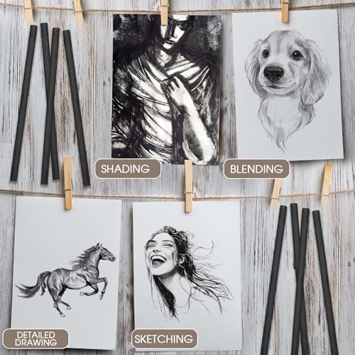Gueevin 100 Pcs Soft Willow Charcoal Sticks Drawing,2-4mm,4-5mm,5-7mm,7-9mm | For Artists Beginners Students, Vine Charcoal Bulk for Sketching Shading Fine Art, Assorted Sizes, Back to School Gifts - size: 2-4mm,4-5mm,5-7mm,7-9mm