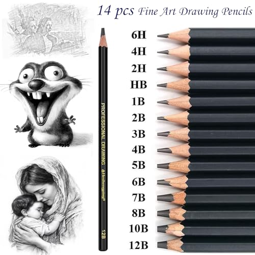 Heshengping, Sketching and Drawing Pencils Set-26pcs,Art Supplies Drawing Kit,Graphite Charcoal Professional Pencils Set, Adults Beginners Artist - style: Black | 26 Pack