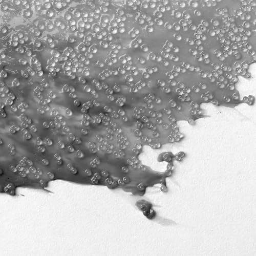 Liquitex Professional Effects Medium, 237ml (8-oz), Glass Beads | High Gloss, Bubbly Effects, Flexible, 100% Acrylic Polymer, Chip/Crack Free on Canvas, Create 3D Effects or Fine Texture - color: Glass Beads, size: 8 Fl Oz (Pack of 1), style: 8-oz