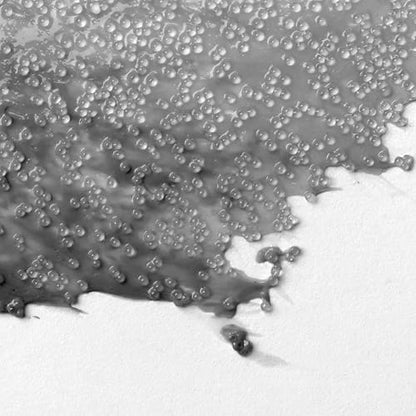 Liquitex Professional Effects Medium, 237ml (8-oz), Glass Beads | High Gloss, Bubbly Effects, Flexible, 100% Acrylic Polymer, Chip/Crack Free on Canvas, Create 3D Effects or Fine Texture - color: Glass Beads, size: 8 Fl Oz (Pack of 1), style: 8-oz