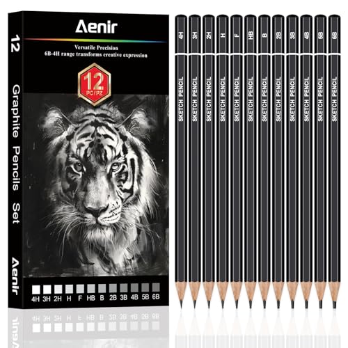 Aenir Drawing Pencils for Sketching, Set of 12 Sketch Pencils, 6B-4H | Art Supplies for Beginners & Artists: Art Pencils for Sketching Projects, Graphite Pencils for Drawing and Shading - size: 1 Count (Pack of 12)